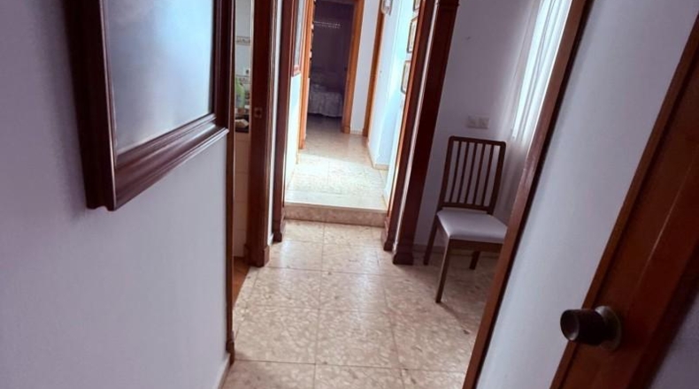 Cádiz - Benalup-Casas Viejas - 250m2