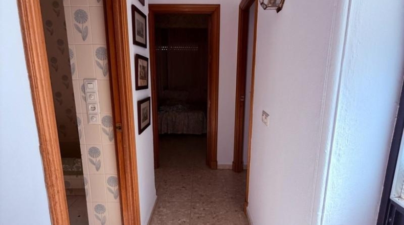 Cádiz - Benalup-Casas Viejas - 250m2