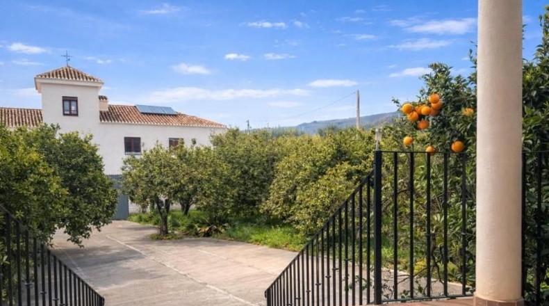 Granada - Píñar - 9643m2