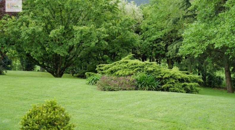 Cantabria - Liaño - 5000m2