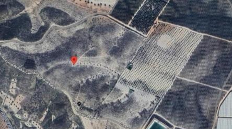 Almería - Uleila del Campo - 49000m2