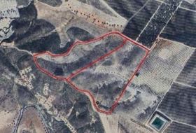 Uleila del Campo 49000&nbsp;м²