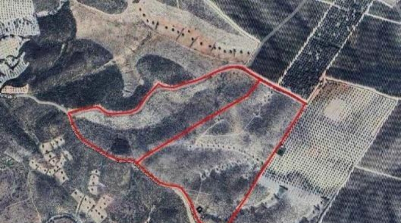 Almería - Uleila del Campo - 49000m2