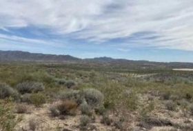 Uleila del Campo 49000&nbsp;м²
