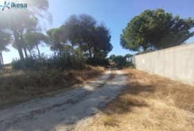 Foto 9
