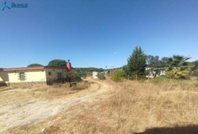 Foto 19
