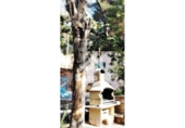 Country house with land for sale on España, Ibi, ref: TR401336 photo