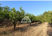 Country house with land for sale on España, Ibi, ref: TR401336 photo