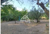 Country house with land for sale on España, Ibi, ref: TR401336 photo