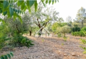 Country house with land for sale on España, Ibi, ref: TR401336 photo
