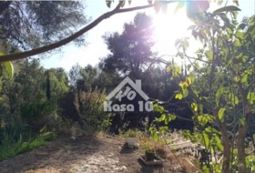 Foto 9