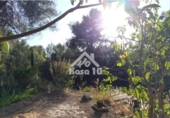Country house with land for sale on España, Ibi, ref: TR401336 photo