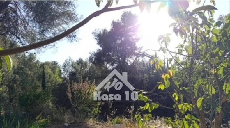 Alicante - Ibi - 7500m2
