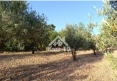 Country house with land for sale on España, Ibi, ref: TR401336 photo