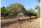 Country house with land for sale on España, Ibi, ref: TR401336 photo