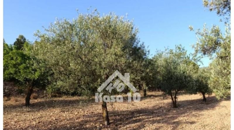 Alicante - Ibi - 7500m2