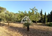 Country house with land for sale on España, Ibi, ref: TR401336 photo
