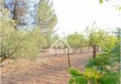 Country house with land for sale on España, Ibi, ref: TR401336 photo