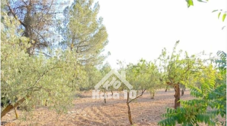 Alicante - Ibi - 7500m2
