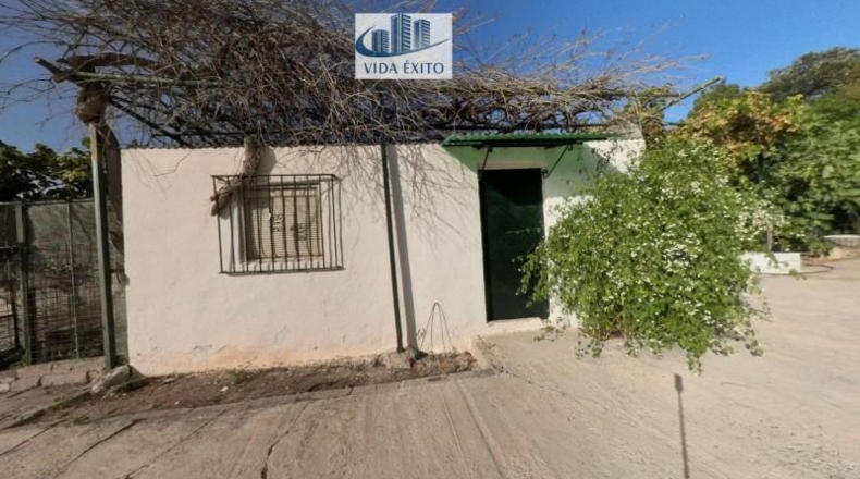 Jaén - Valdepeñas de Jaén - 1200m2