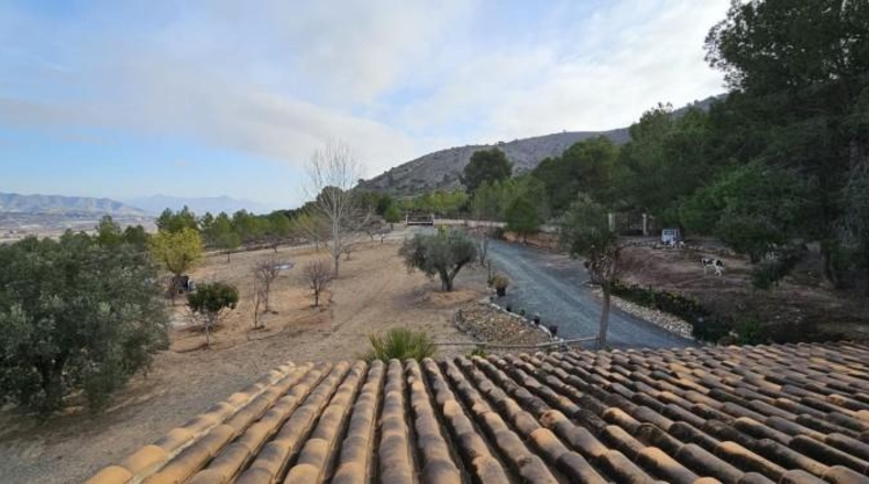 Alicante - Hondón de las Nieves - 18000m2