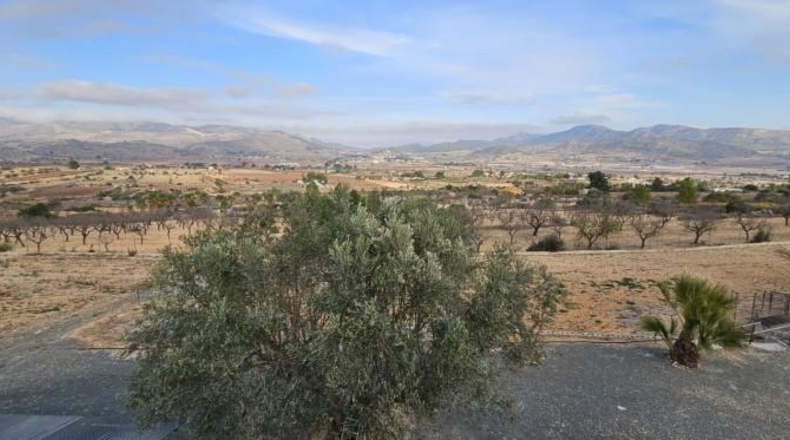 Alicante - Hondón de las Nieves - 18000m2