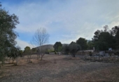 Xalet independent amb terreny en venda a la España, el Fondó de les Neus, ref.: TR401354 foto