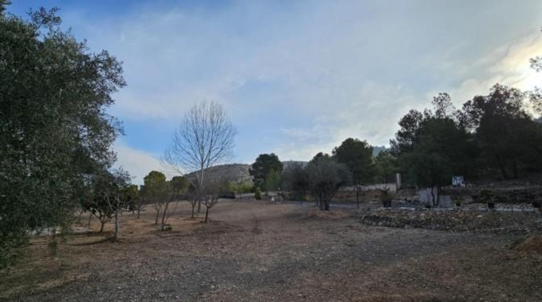 Alicante - Hondón de las Nieves - 18000m2