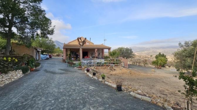 Alicante - Hondón de las Nieves - 18000m2