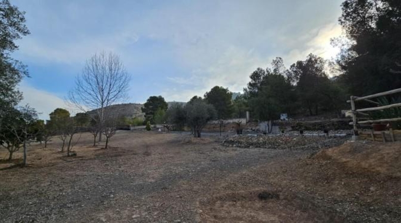Alicante - Hondón de las Nieves - 18000m2