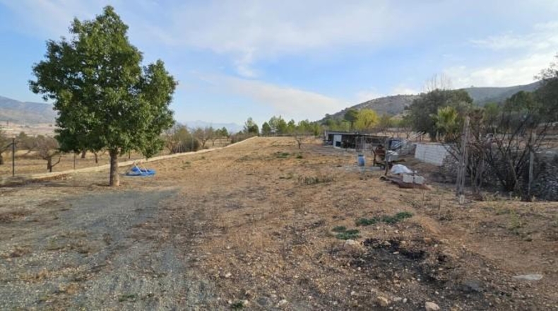 Alicante - Hondón de las Nieves - 18000m2