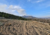 Xalet independent amb terreny en venda a la España, el Fondó de les Neus, ref.: TR401354 foto