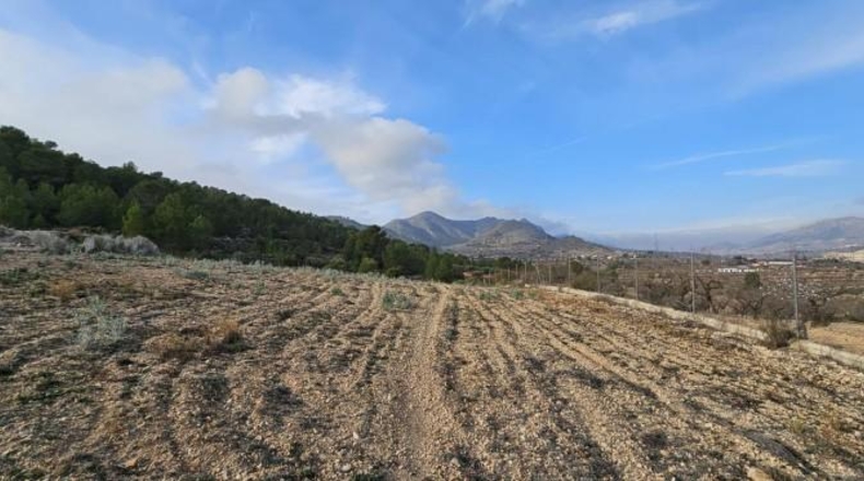 Alicante - Hondón de las Nieves - 18000m2