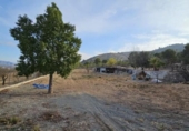 Xalet independent amb terreny en venda a la España, el Fondó de les Neus, ref.: TR401354 foto