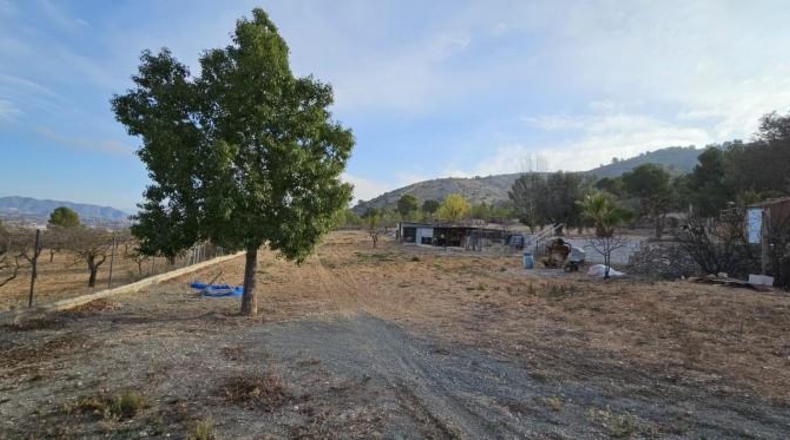Alicante - Hondón de las Nieves - 18000m2
