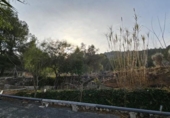 Xalet independent amb terreny en venda a la España, el Fondó de les Neus, ref.: TR401354 foto