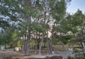 Xalet independent amb terreny en venda a la España, el Fondó de les Neus, ref.: TR401354 foto