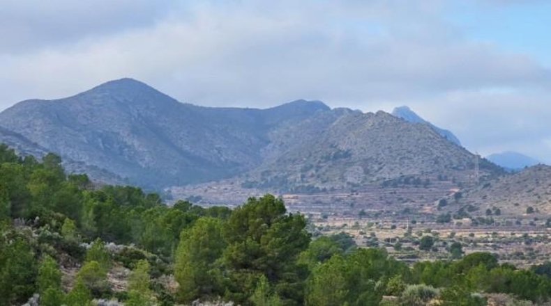 Alicante - Hondón de las Nieves - 18000m2