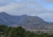 Xalet independent amb terreny en venda a la España, el Fondó de les Neus, ref.: TR401354 foto