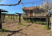 Отдельно стоящий дом с участком на продажу в городе Barrantes Фото