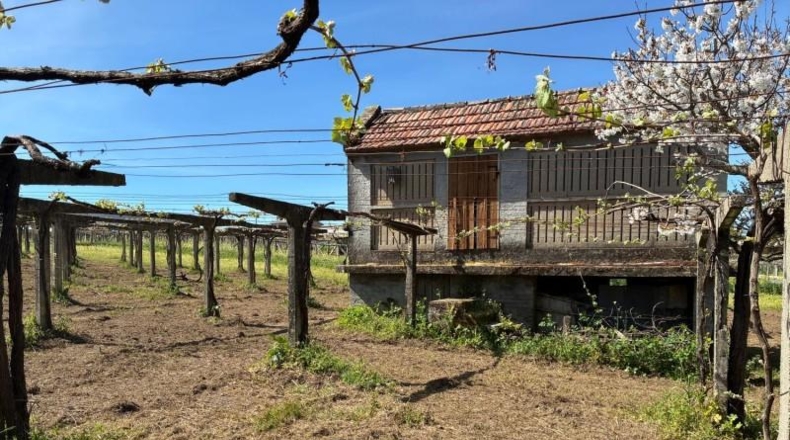 Pontevedra - O Cruceiro Vello - 2600m2