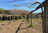 Отдельно стоящий дом с участком на продажу в городе Barrantes Фото