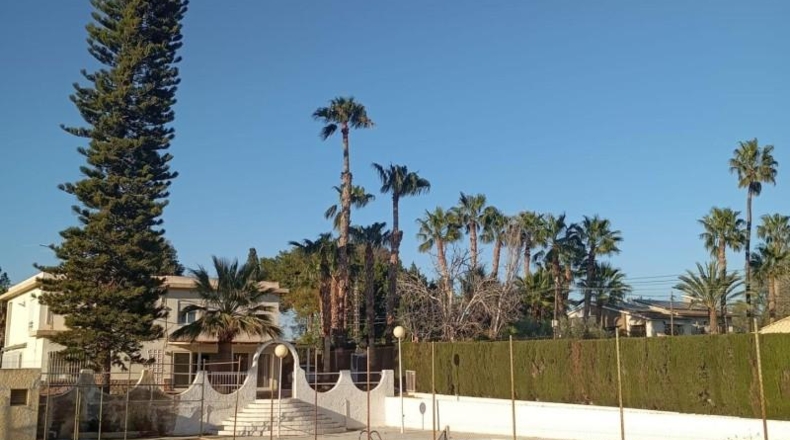 Alicante - Elche - 1609m2