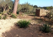 Casa de campo con terreno en venta en la España, Camarles, ref: TR401377 foto