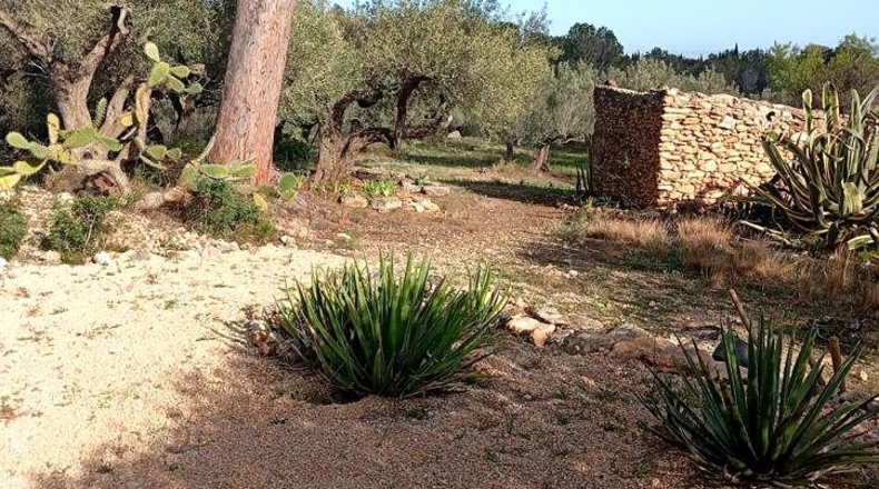 Tarragona - Camarles - 40000m2