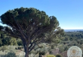 Casa de campo con terreno en venta en la España, Camarles, ref: TR401377 foto