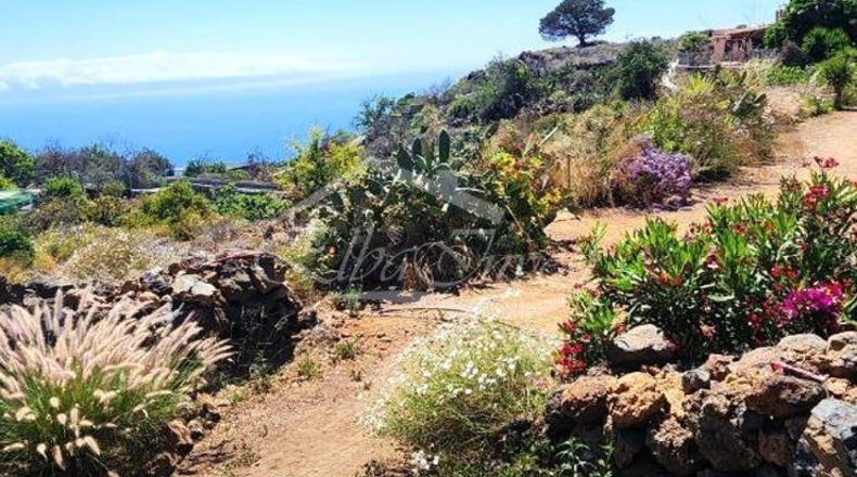 Santa Cruz de Tenerife - Puerto de la Cruz - 6500m2