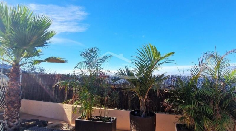 Santa Cruz de Tenerife - Puerto de la Cruz - 6500m2