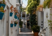 Detached villa with land for sale on España, Estepona, ref: TR401393 photo