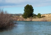 Non-developable land for sale in Fabara ref: TR396162 photo